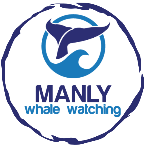 Manly Whale Watching